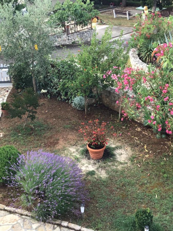 Apartmani Misic Ždrelac Dış mekan fotoğraf