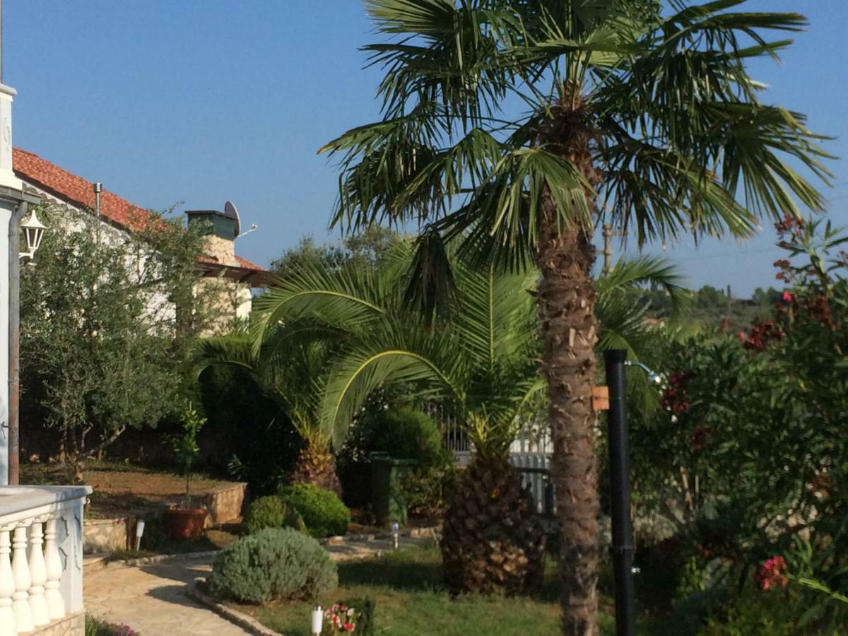Apartmani Misic Ždrelac Dış mekan fotoğraf